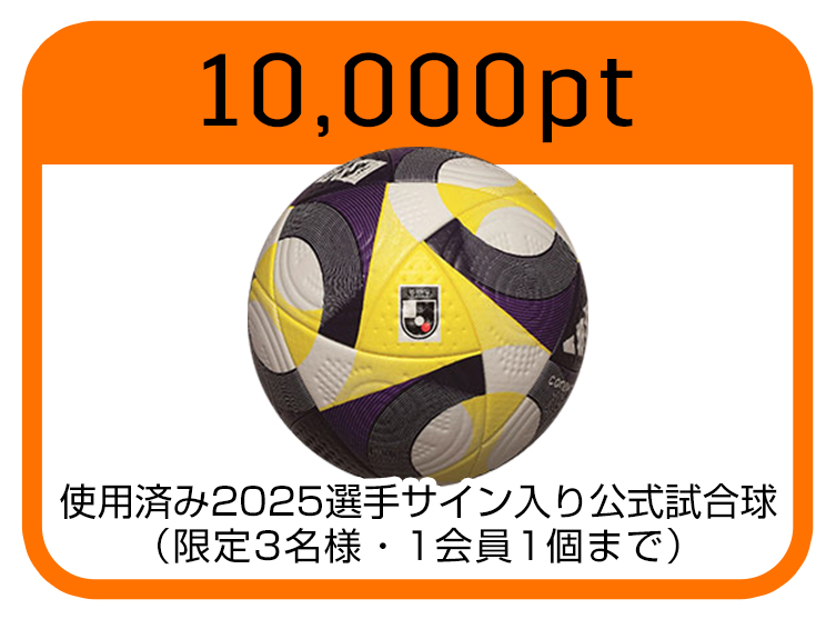 公式試合球