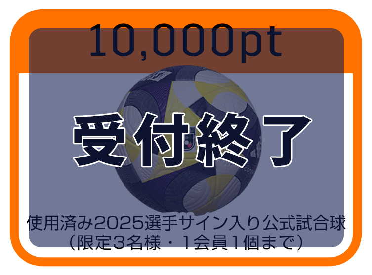 公式試合球
