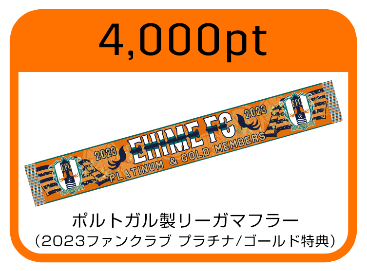 リーガマフラー
