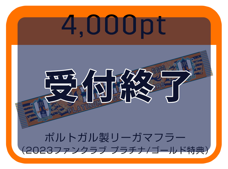 リーガマフラー