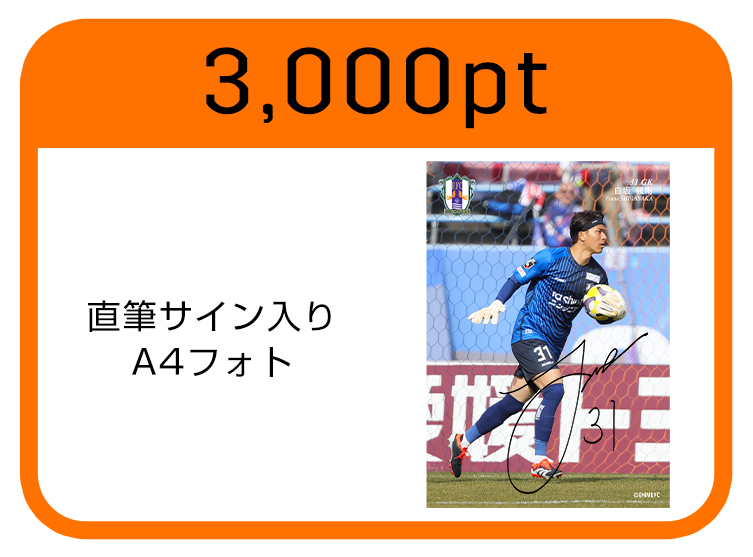 A4フォト