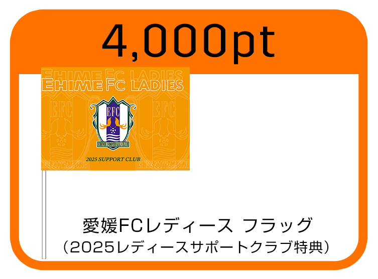 レディースフラッグ