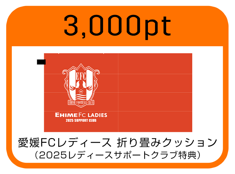 レディース折りたたみクッション