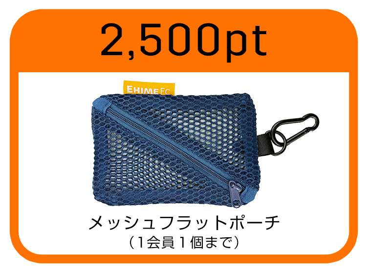 メッシュフラットポーチ