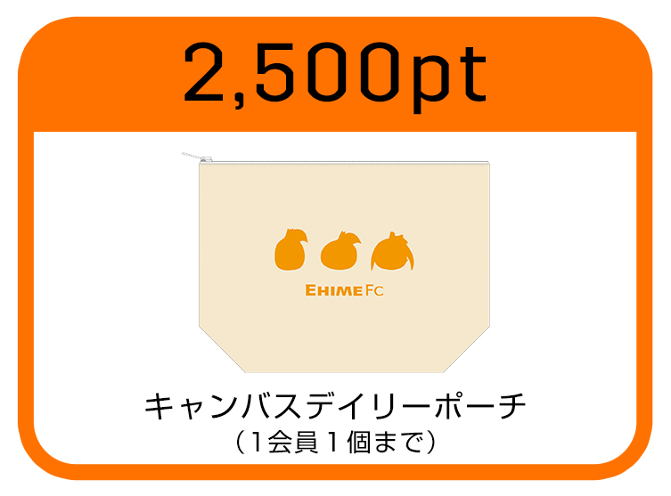 キャンバスデイリーポーチ