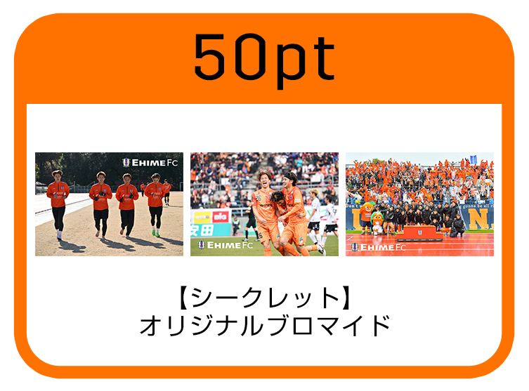 選手ブロマイド