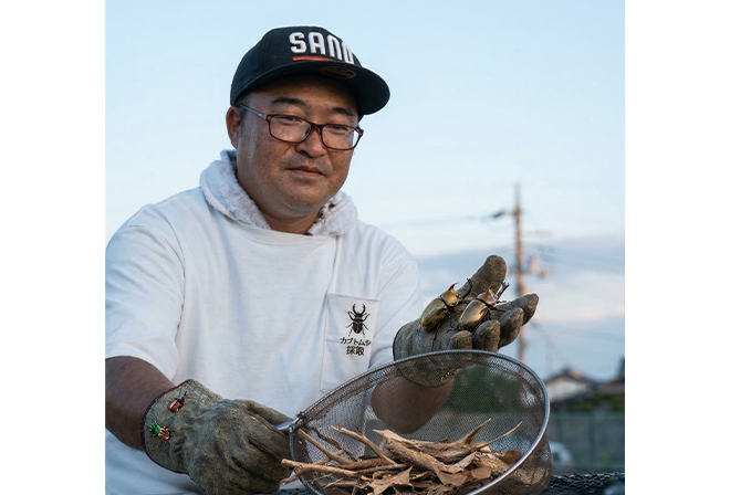 カブトムシをプレゼント!