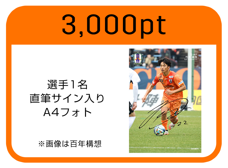 A4フォト