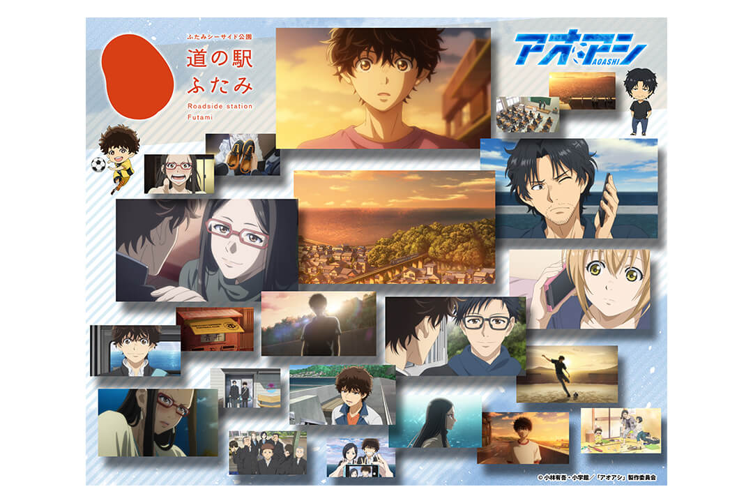 愛媛FC オフィシャルレインコート カッパ アオアシ ユニフォーム柄